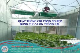 Quạt thông gió công nghiệp tròn lắp đặt cho vườn trồng rau