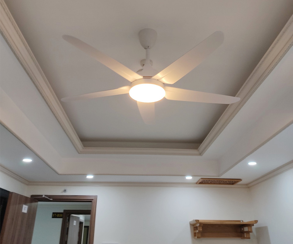 quat_tran_ac_5_canh