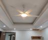 quat_tran_ac_5_canh