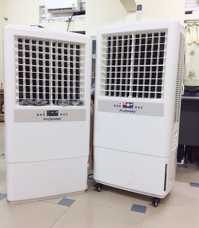 quatieuhoafushinifsn_55n