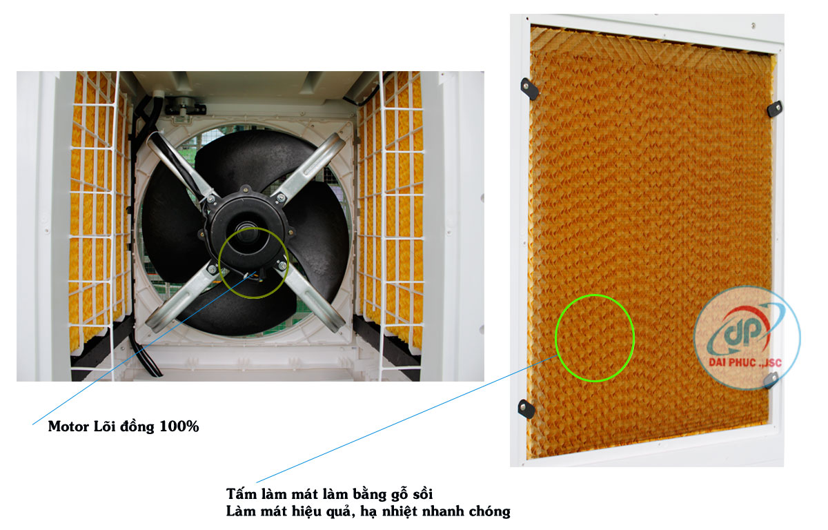 motor-tam-lam-mat-Ifan-7000D