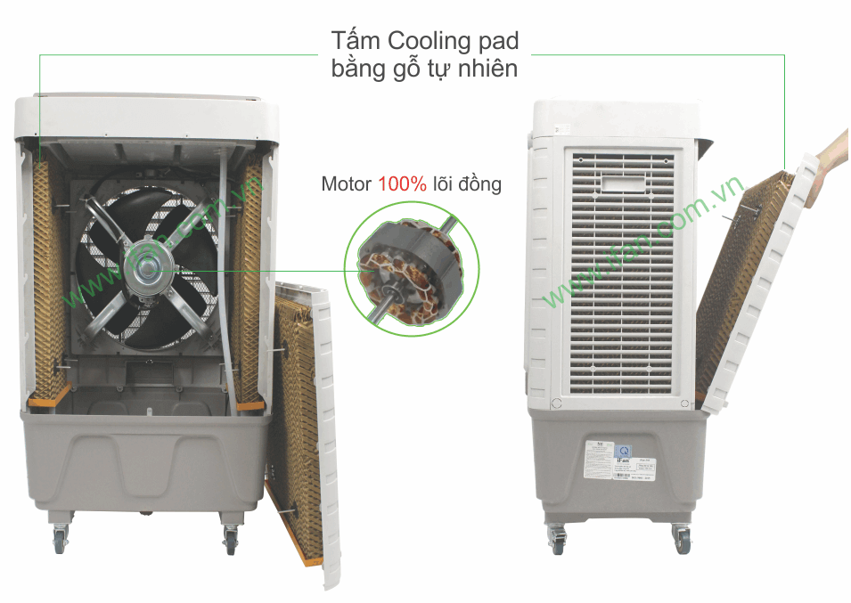 than_may_lam_mat_ifan_550