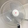 quat_treo_tuong_kdk_m40m_trang_nga